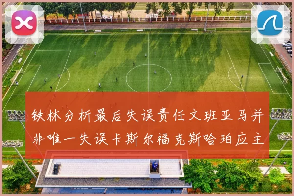 铁林分析最后失误责任文班亚马并非唯一失误卡斯尔福克斯哈珀应主动接球